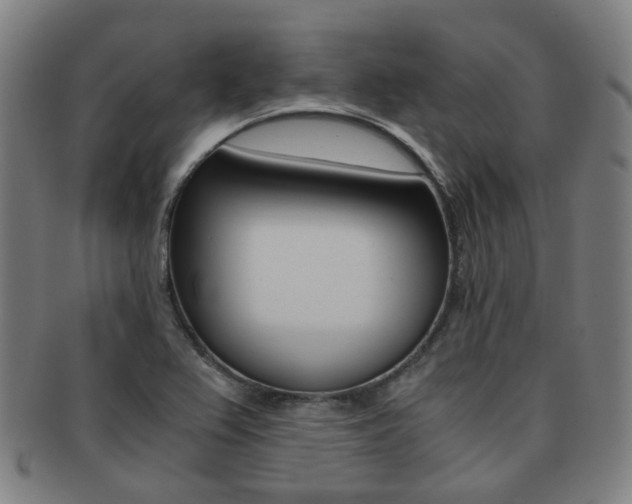 X0000091881367200709051006