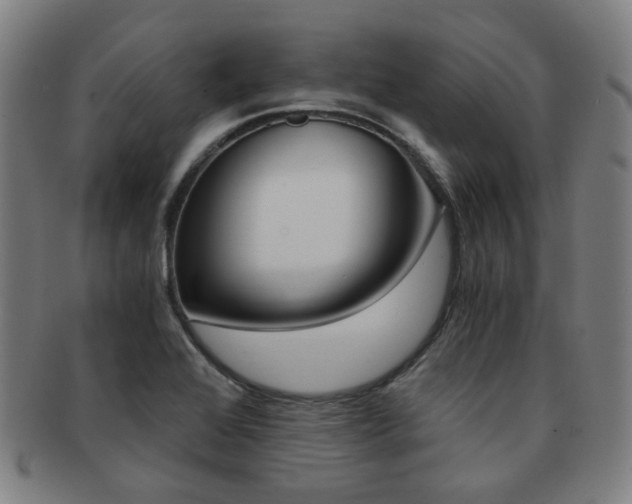 X0000091881368200709051006