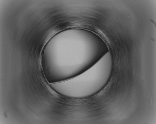 X0000091881370200709051006