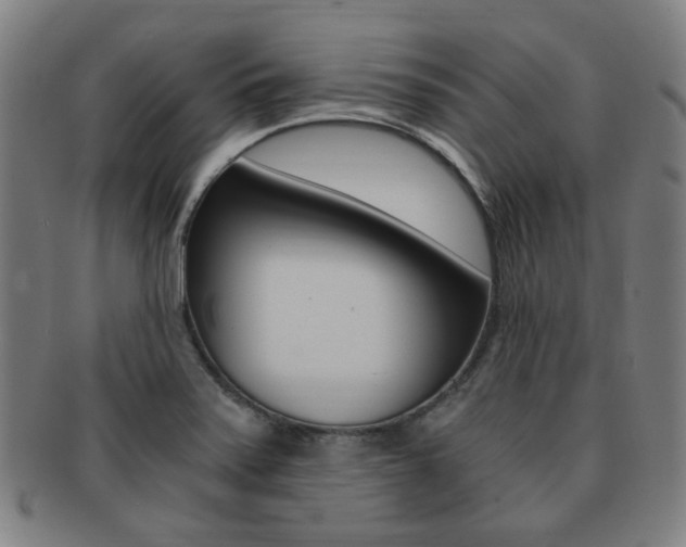 X0000091881371200709051006
