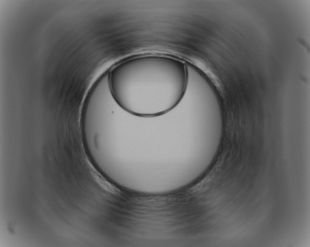 X0000091881372200709051006