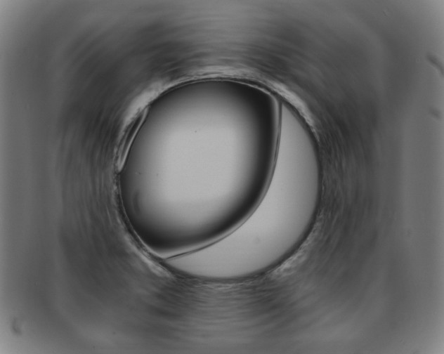 X0000091881373200709051006