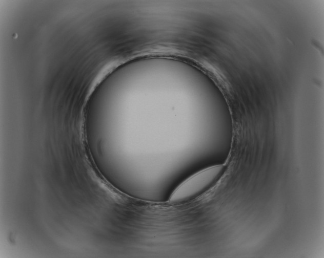 X0000091881374200709051006