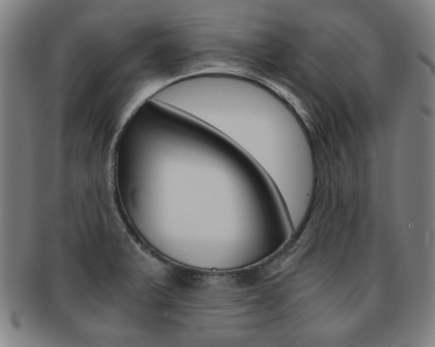 X0000091881375200709051006