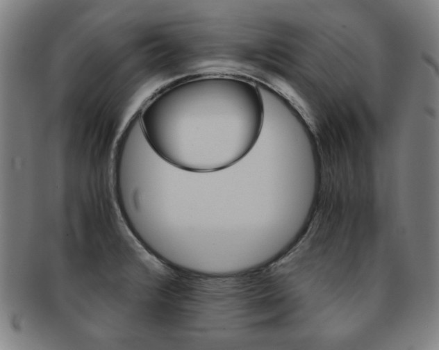 X0000091881376200709051006