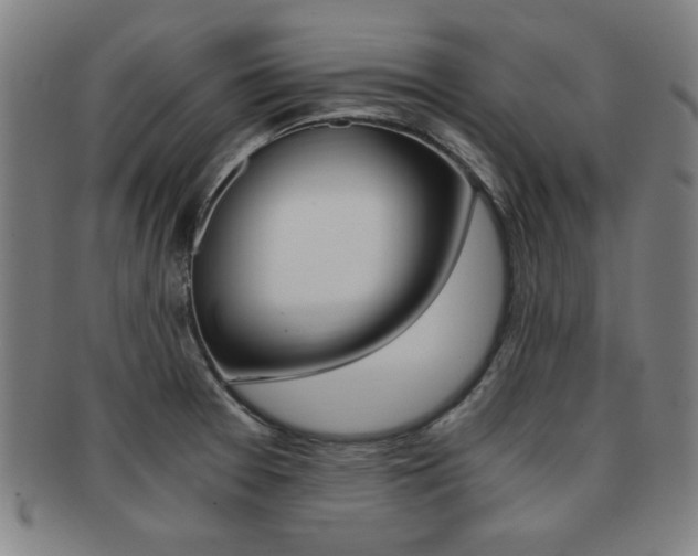X0000091881377200709051006