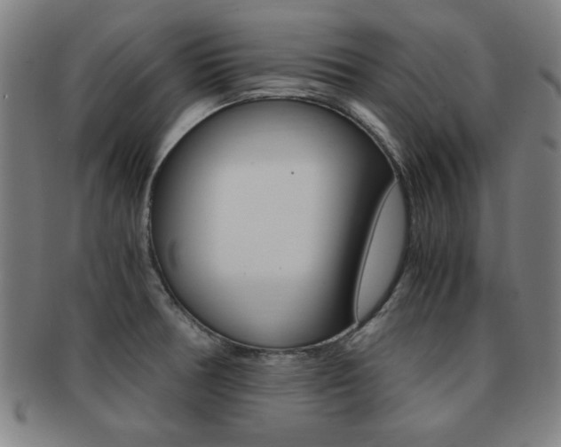 X0000091881378200709051006