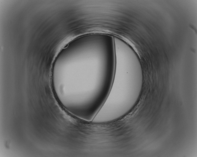 X0000091881379200709051006