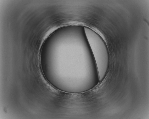X0000091881381200709051006