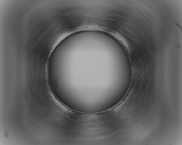 X0000091881382200709051006