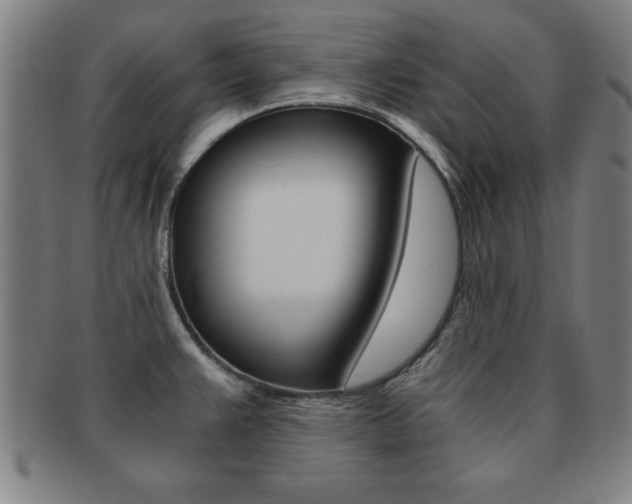 X0000091881383200709051006