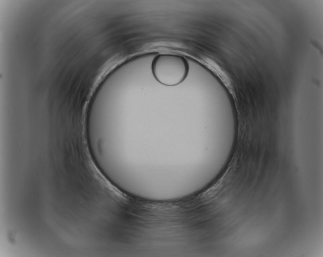 X0000091881384200709051006