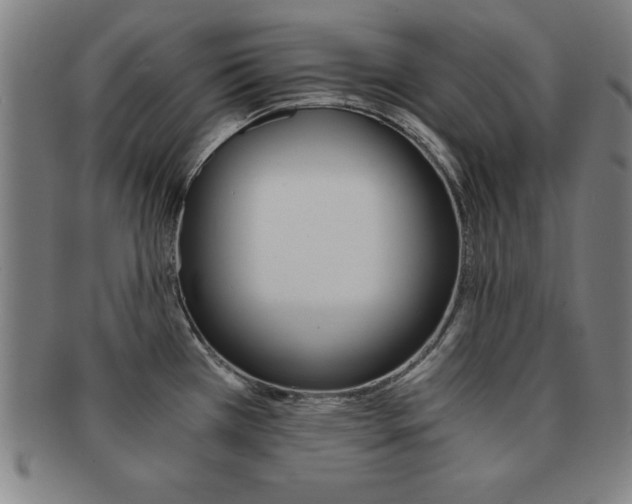 X0000091881385200709051006