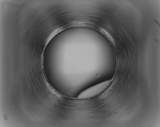 X0000091881386200709051006