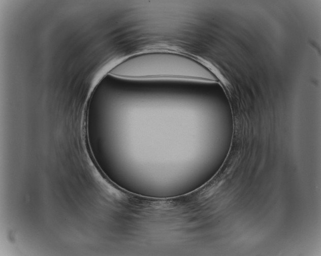 X0000091881387200709051006