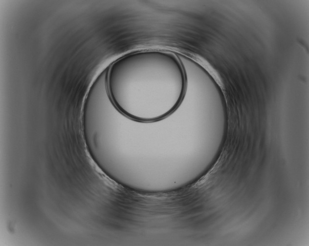 X0000091881388200709051006