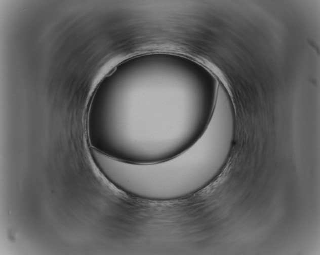X0000091881389200709051006
