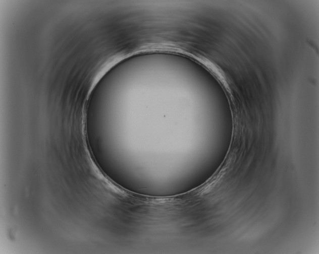 X0000091881390200709051006