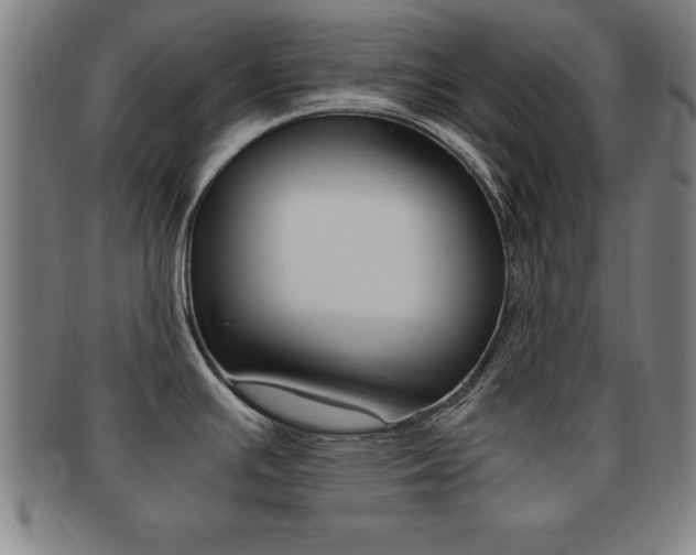 X0000091881391200709051006