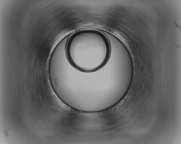X0000091881392200709051006