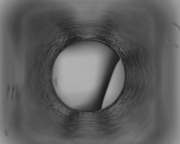 X0000091881393200709051005