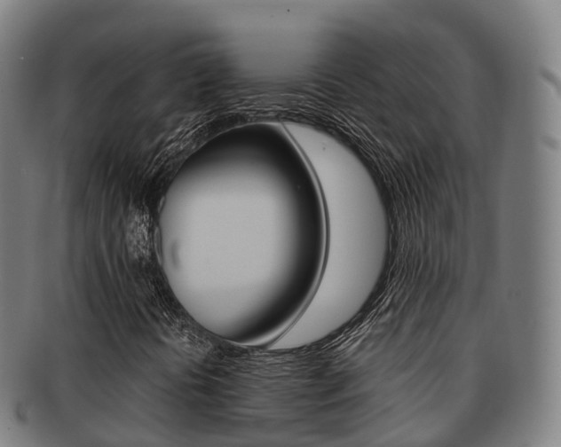 X0000091881394200709051005