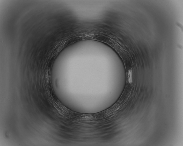 X0000091881395200709051005