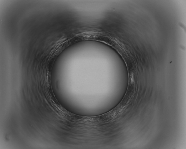 X0000091881396200709051005