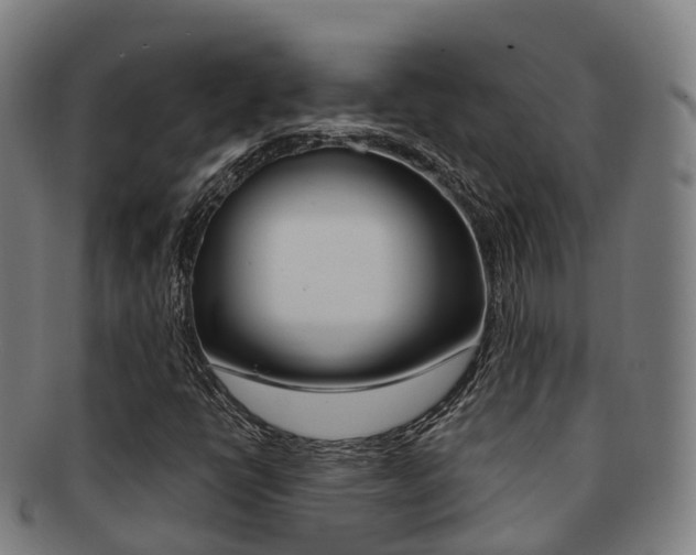 X0000091881398200709051006
