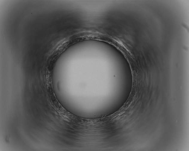 X0000091881399200709051006