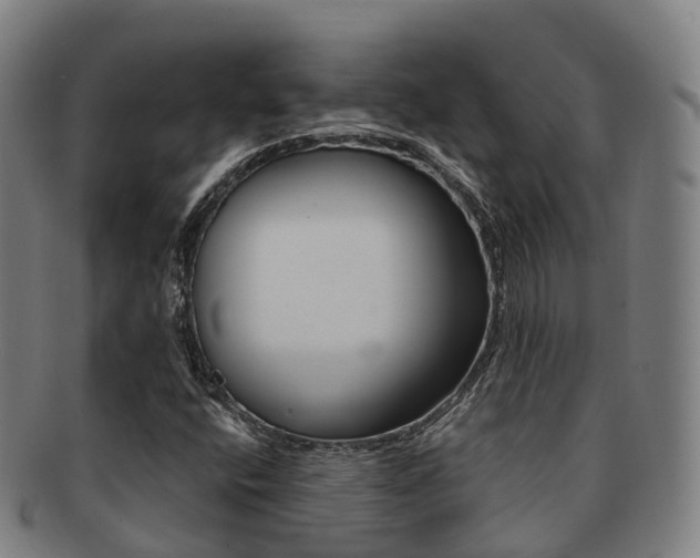 X0000091881400200709051006