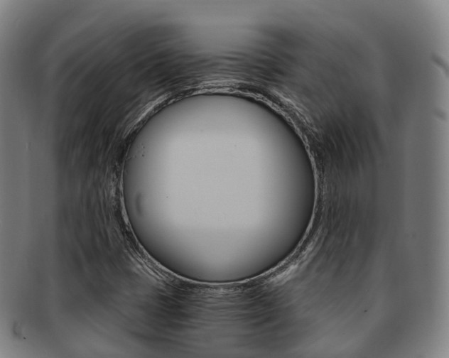 X0000091881401200709051006