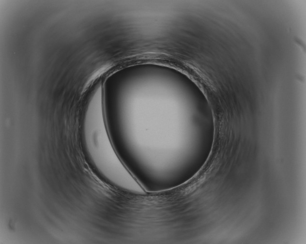 X0000091881402200709051006