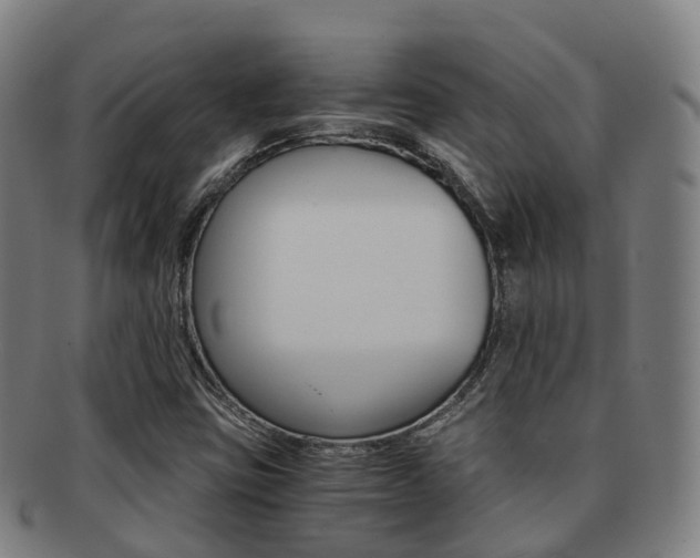 X0000091881403200709051006