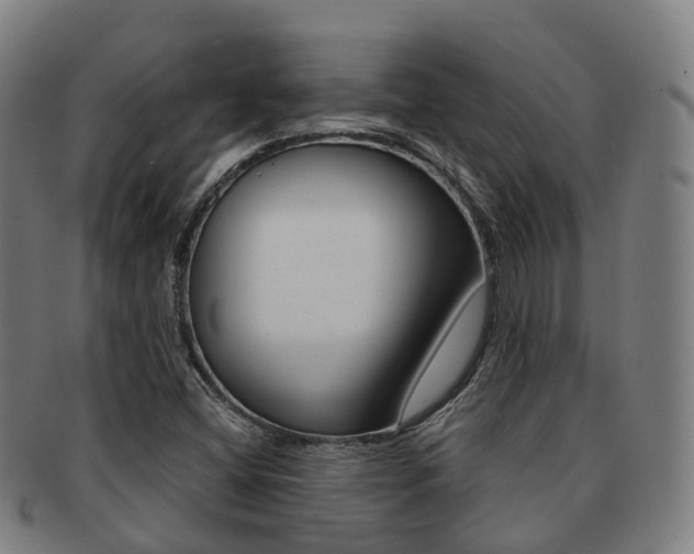 X0000091881404200709051006