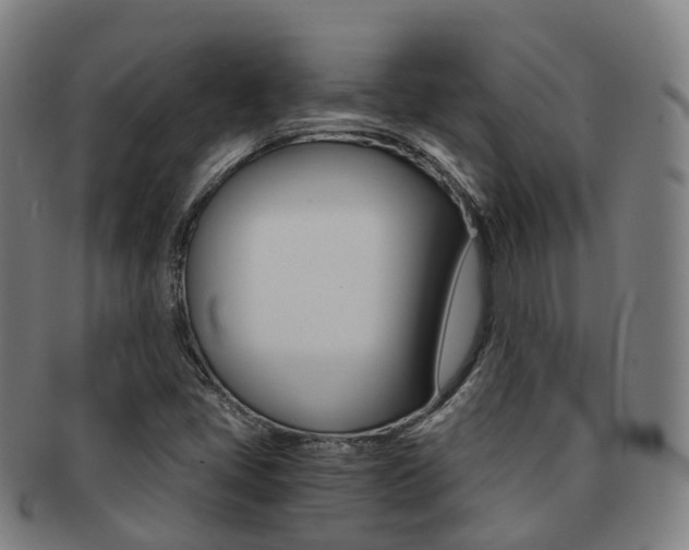 X0000091881405200709051006
