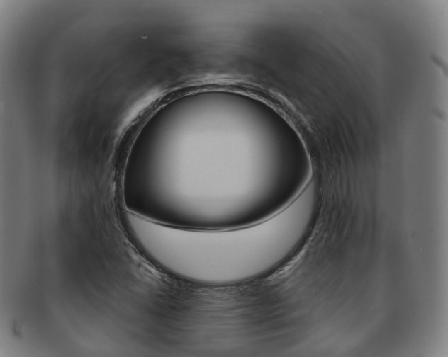 X0000091881406200709051006