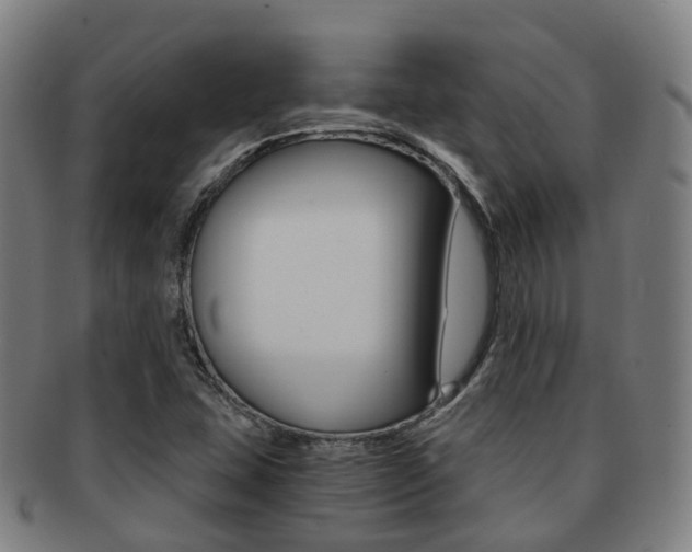 X0000091881407200709051006
