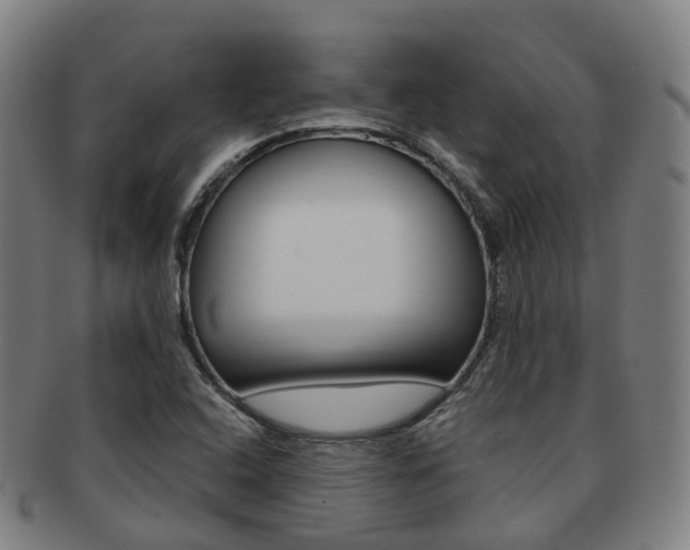 X0000091881408200709051006