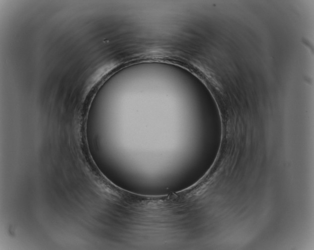 X0000091881410200709051006