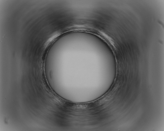 X0000091881411200709051006