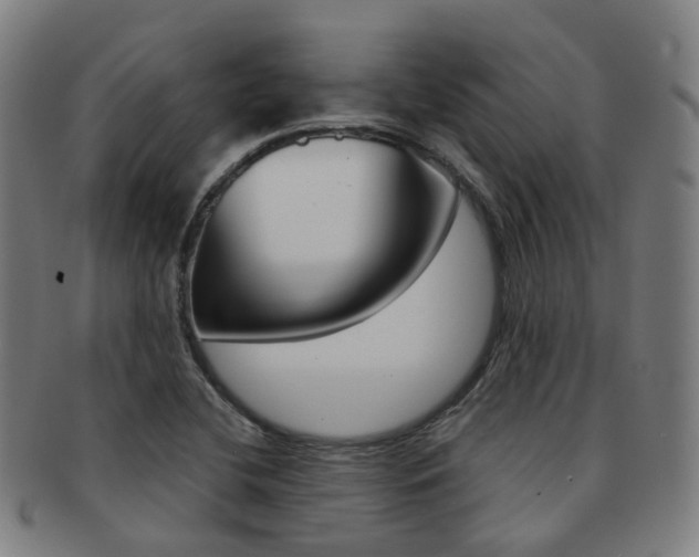 X0000091881412200709051006