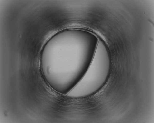 X0000091881413200709051006