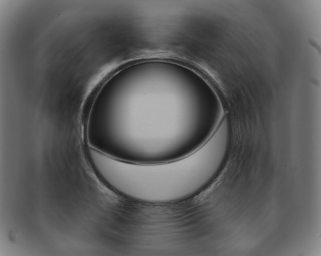 X0000091881414200709051006