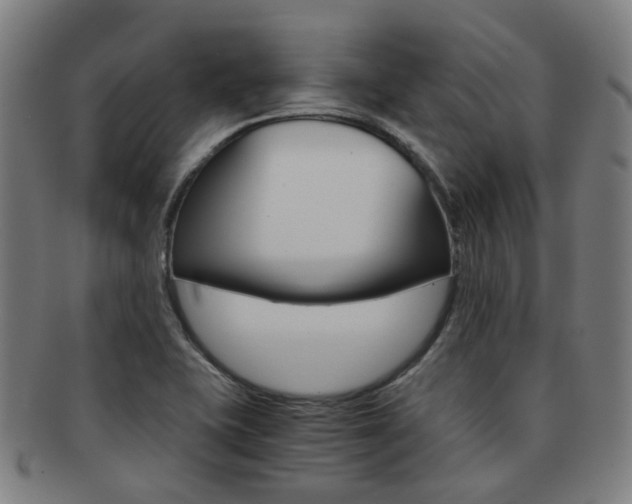 X0000091881415200709051006