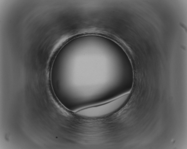 X0000091881416200709051006