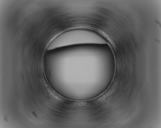 X0000091881417200709051006