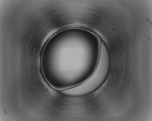 X0000091881418200709051006