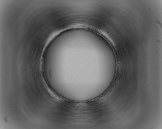 X0000091881421200709051006