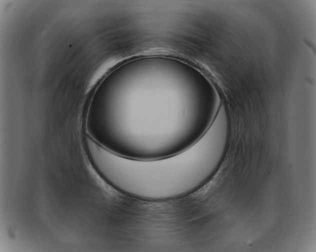 X0000091881422200709051006